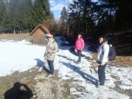 14 pred gozdom kupljenik