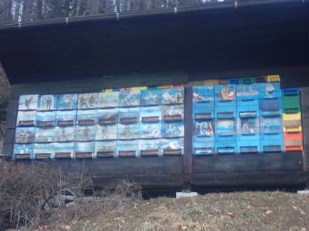 29 cebelnjak pod dobravo