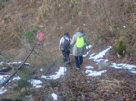 17 v gozdu pod kupljeniom