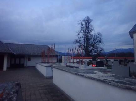 33 polomljeno klasje srednja dlobrava