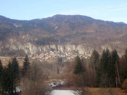 8 b bela izpod kupljenika